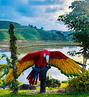 Hotel y Termales Castillo Del Lago Guatape - 6