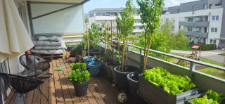 Modern bright apartment in an amazing location - Klagenfurt - 8