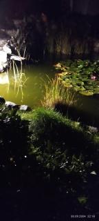 Bocian&Kot - - 6