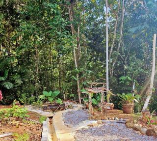 Lodge jaguarjundi - Zancudo - 0