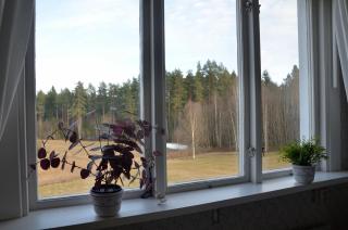 Pellas Gård - Djura - 1