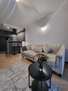 Parkowa Premium Apartment - Gdynia - 6