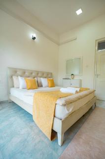 Spacious Eco House with Garden and Scenic Paddy View Colombo - Malabe - 2