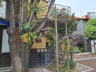 Casa del Árbol by Majikal B&B - Cholula - 2