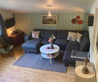 Newly renovated cabin near Ål city center, mountains & ski resort - Liagarda - 3