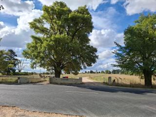 Alloway Bank - Bathurst - 9