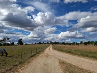 Alloway Bank - Bathurst - 8