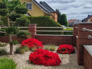 Ferienwohnung *Zur Weinbergstraße* - Lauta - 4