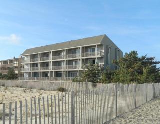 Sea winds 6 - Dewey Beach - 0