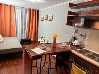 Apartamento Orquidea - Santiago - 3