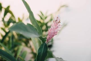 Casa Nuez- Villa with AC, Pool and Magical Sunset Views - 5