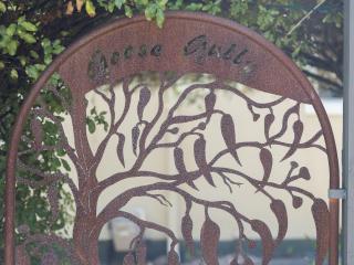 Goose Gully - Warrnambool - 9