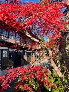 宿屋白金家 yadoya-shiroganeya 1日1組限定2名から8名様まで 全館貸切り 伝統的建造物の旅籠宿 Traditional culture experience - Nagano - 3