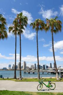 Clairemont Paradise Getaway - San Diego - 5