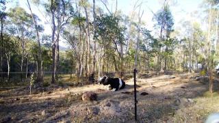 Tintenbar Riverfront Farmstay by Tiny Away - Glenwilliam - 4