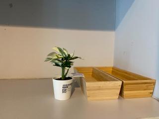 Ceil by Sansiri BTS Ekamai Shuttle to BTS Ekamai , Gateway mall , Major Cineplex mid city. Great place to explore bangkok - 3