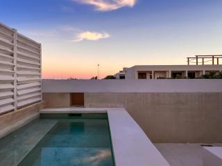 Stylish Mexican Interior PH- Private Rooftop -Gated Community - 0