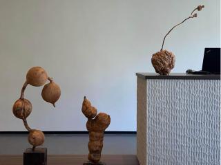 Harmony Zen Retreat in Jiuzhai Valley - 1