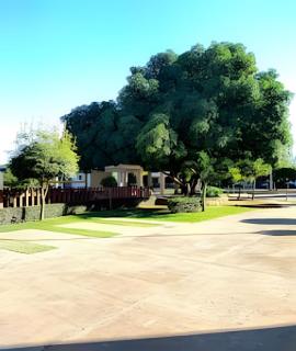 Essential Stay Sto Dgo Este - Calero - 3
