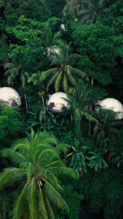 Lintang Luku Tent Resort Ijen, Banyuwangi - Banyuwangi - 0
