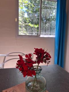 Bungalow a metros del centro - 4