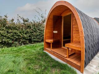 Chalet in Salzburg near Ski Slopes - 6