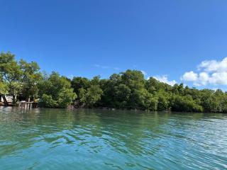 Villa Libel'ulle - 4