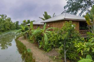 Tropical Magnolia - - 1