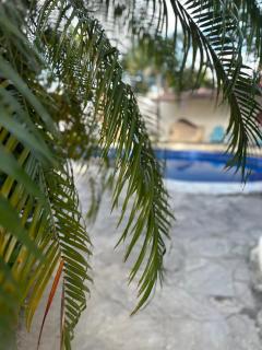Leve UP Hotel & Sport Lounge - Sosúa - 4