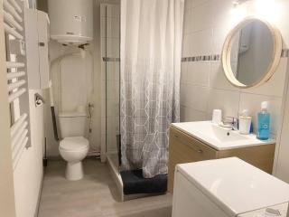 Studio ensoleillé en centre-ville, animaux admis - FR-1-703-206 - 1