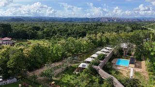 Tropical Magnolia - 1