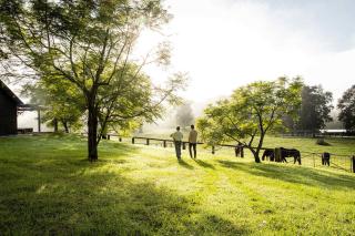 Jacaranda at Barranca - Luxury Villa - Kangaroo Valley - 1