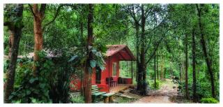 Devigiri Homestay and Resort - Chikmagalur - 0