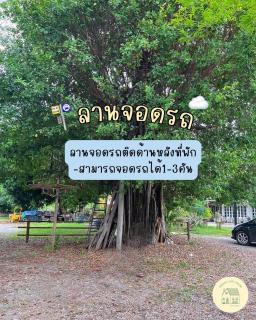 Greeny Cozy House - Ban Nong Chaeng - 8