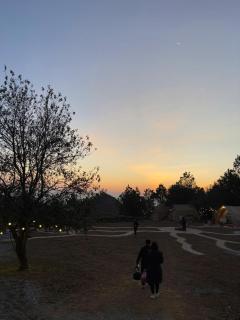 Tà Xùa Glamping - Bắc Yên - 0