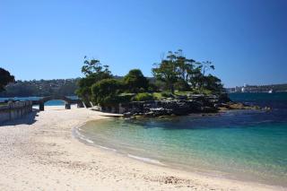 The Sunlit Fern - Minutes from Dining & Coastline - Sydney - 7