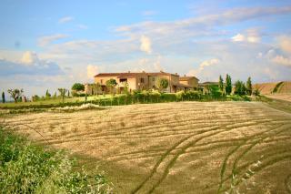 Podere Montechiari - Montalcino - 0