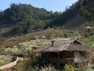 HUA TẠT HMONG Retreat - - 7
