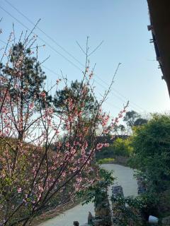 HUA TẠT HMONG Retreat - - 6
