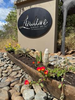 Lindiwe Safari Lodge - Hoedspruit - 9