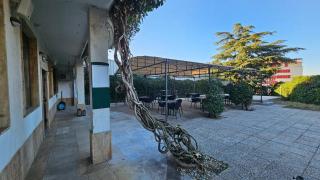 Apartma Tisa - Izola - 1