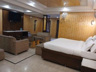 Hotel Drive Inn Mussoorie - Mussoorie - 5