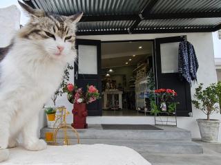 Saint Anna Beach House - 5