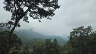 Mandara - Badulla - 0