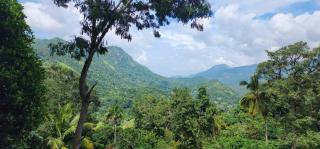 Mandara - Badulla - 4