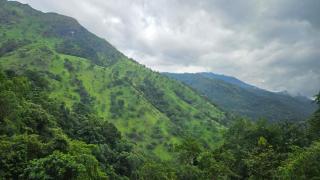 Mandara - Badulla - 3