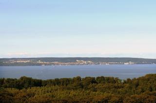 Ferienwohnung Nr 8 im Gutshaus Zicker auf Rügen - Garz-Rügen - 4