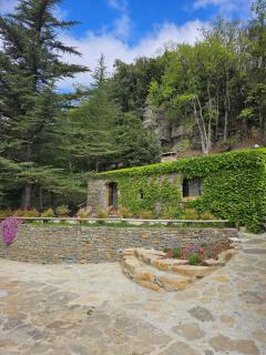 Santa Llúcia Rupit - Rupit i Pruit - 4