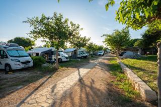 Terra Park Phalaris Pitches - Novalja - 1