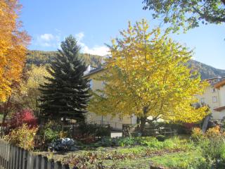 Residence Zum Theater - Colle Isarco - 5